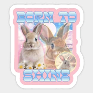 Cute Funny Bunnies Sticker